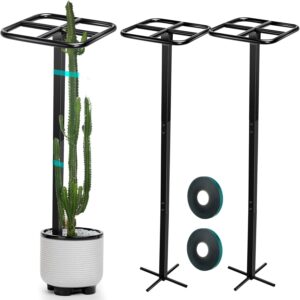 Dragon Fruit Trellis